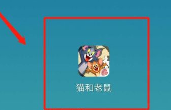 猫和老鼠设置自动拾取的方法一览 宠物进化与技能提升详解