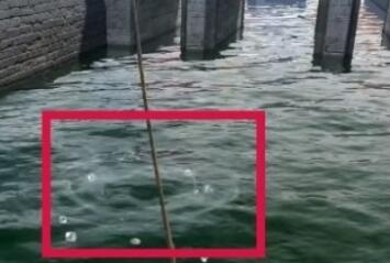 逆水寒手游方承意生辰活动第一日玩法解析 享受游戏带来的乐趣和挑战