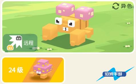 宝可梦大探险派拉斯攻略：攻略助你快速升级