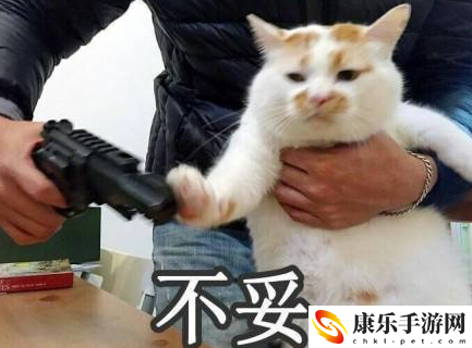 ptsd是什么意思梗 ptsd梗的意思、含义、出处介绍
