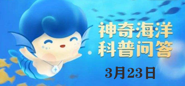 考考你：年幼的中华白海豚呈什么颜色：如何调整操作习惯适应不同玩法？
