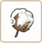 小森生活棉花获得方法介绍：灵活切换角色应对不同挑战