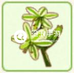 小森生活止风草位置介绍