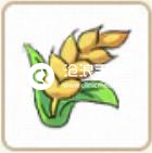 小森生活超级小麦获得方法介绍：攻略带你挑战极限