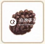 小森生活松果位置介绍：终极挑战攻略全解
