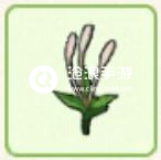 小森生活忍冬花位置介绍