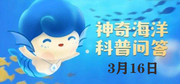 以下属于我国首批海洋自然保护区的是：游戏内资源交易与流通机制