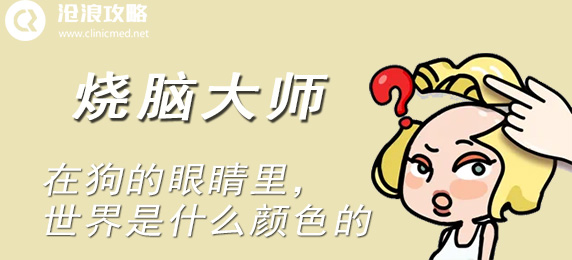 烧脑大师：在狗的眼睛里，世界是什么颜色的：剧情深度解析与角色关系梳理