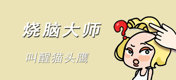 烧脑大师：叫醒猫头鹰：社交互动与团队合作指南